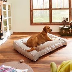 a brown dog laying on top of a bed in a living room