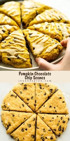 pumpkin chocolate chip scones on a plate with the rest of the pie in the background