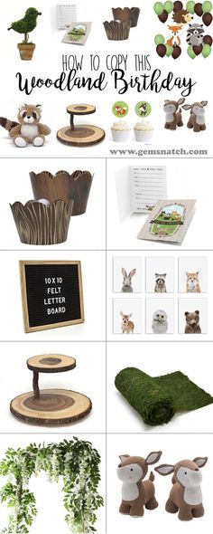 a bunch of different items that are in the shape of animals and plants with text overlay