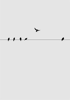 The Line Project, Minimalist Line Tattoo, Bird Line Art, Line Project, Minimal Line Drawing, Neck Tattoo For Guys, Minimal Photography, Single Line Drawing, Portfolio Design Layout