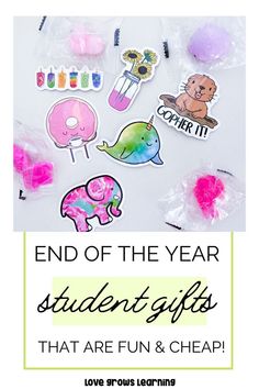 the end of the year student gifts that are fun and cheap