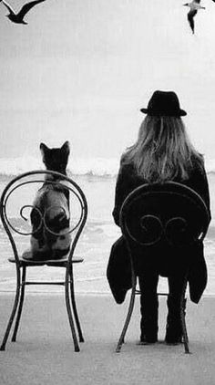 a man sitting on a chair next to a dog and cat looking out at the ocean