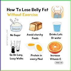 Diet To Get Rid Of Belly Fat Food, Wonyoungism Tips, Banting Diet, Belly Fat Foods, Food To Gain Muscle, Loose Belly, Best Fat Burning Foods