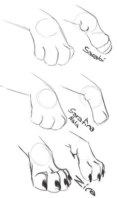 the steps in how to draw a dog's feet