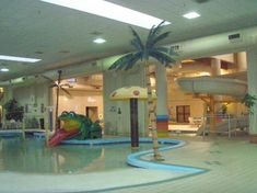 an indoor swimming pool with a slide and palm tree in the center, surrounded by water features