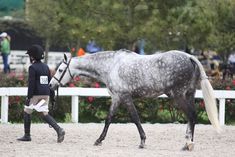 a person walking with a horse in the dirt