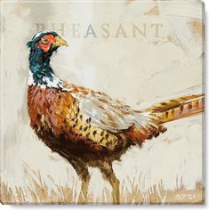 Pheasant Giclee Canvas Print Darren Gygi, Subtle Background, Bird Watchers, Mural Art, Pheasant, Canvas Home, Bird Art, Canvas Giclee, Feathers