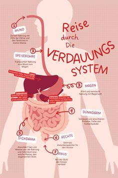 the anatomy of the human body with labels on it and some words describing what they are doing