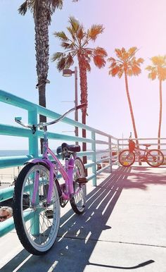 a pink bike parked on the side of a blue fence next to palm trees and beach