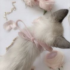 a cat laying on top of a white table next to pink flowers and a chain