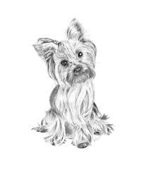 a drawing of a small dog sitting on top of a white surface with its head turned to the side