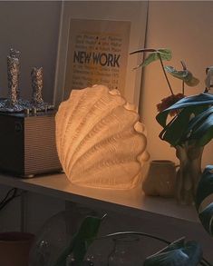 a white shell lamp sitting on top of a shelf next to a potted plant