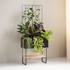 there is a plant stand with plants in it