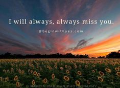 a field with sunflowers in the foreground and a quote about i will always always