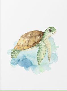 a watercolor painting of a sea turtle