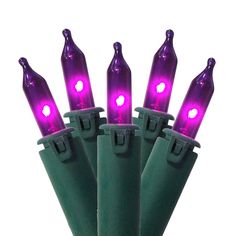 purple lights are wrapped in green plastic