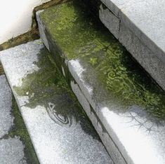 some concrete steps with moss growing on them