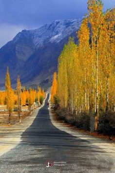 an empty road surrounded by trees with mountains in the background