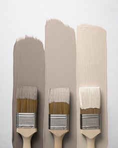 three paintbrushes with different colors and the words staying neutral more learn more on them