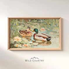 two ducks swimming in a pond with lily pads and water lillies on the wall