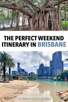 the perfect weekend itinerary in brisbane