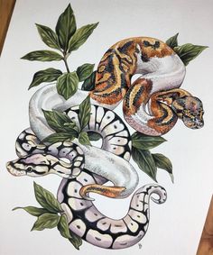 a drawing of two snakes on a branch with green leaves and one snake is curled up in the middle