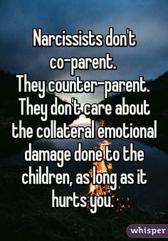 a quote that reads narcissts don't co - parent they counterparent they don't care about