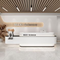 a white reception desk with a teddy bear sitting on it