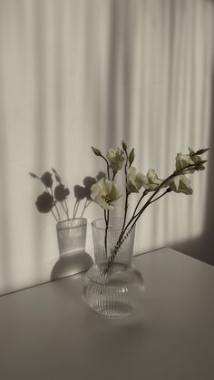 two glass vases with flowers in them on a table