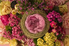 a bird's nest surrounded by flowers on a pink background