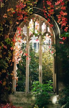 an arched window with vines and flowers growing on the outside, in front of it