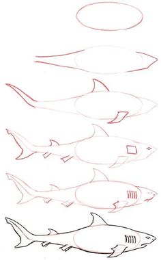 a drawing of different types of fish in the ocean with one being drawn by someone's hand