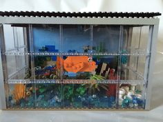 a fish tank filled with lots of different types of animals and plants on top of a white surface