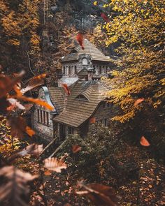 an old house in the woods surrounded by fall leaves