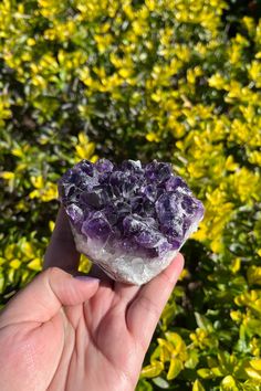 a hand holding a rock with purple crystals on it in front of some yellow flowers