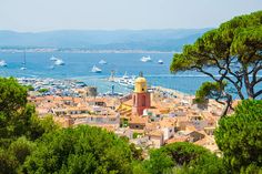 an aerial view of the city of nice monaco with boats in the water and trees