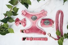 a pink dog harness, leash and collar with matching bow tie on marble surface next to green leaves