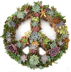 a peace sign made out of succulents and dirt