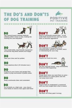 the do's and don'ts of dog training poster with instructions for dogs