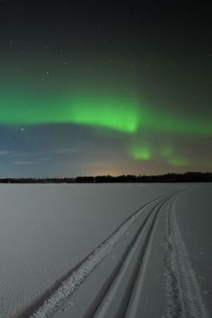 the aurora bore is visible in the night sky over a snow covered field with tracks