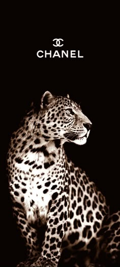 a black and white photo of a leopard with the words chanel on it's back