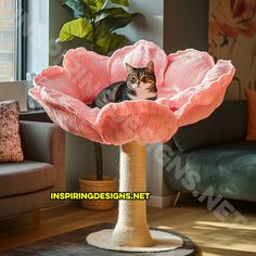 a cat sitting in a pink flower shaped chair