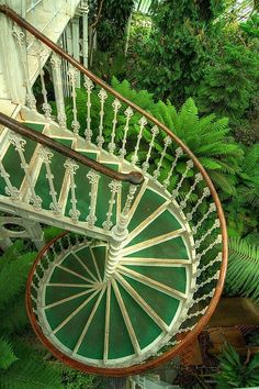 a spiral staircase is surrounded by ferns and other greenery in the foreground, as seen from above