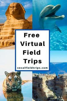 several pictures with the words free virtual field trips on them and an image of some animals