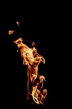 fire flames in the dark on a black background