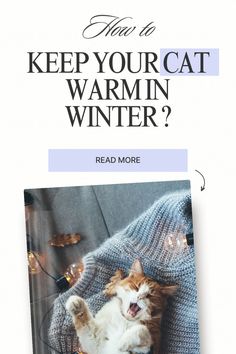 an orange and white cat laying on top of a couch next to a book titled how to keep your cat warm in winter