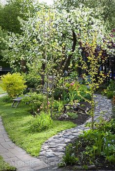 the garden is full of flowers and trees