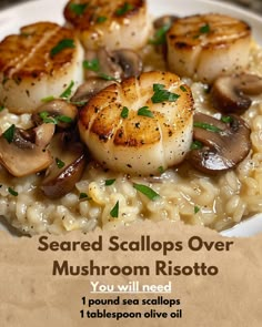 some scallops and mushrooms are on top of rice