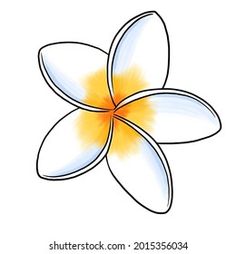 a white and yellow flower on a white background