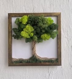 a tree made out of moss in a wooden frame